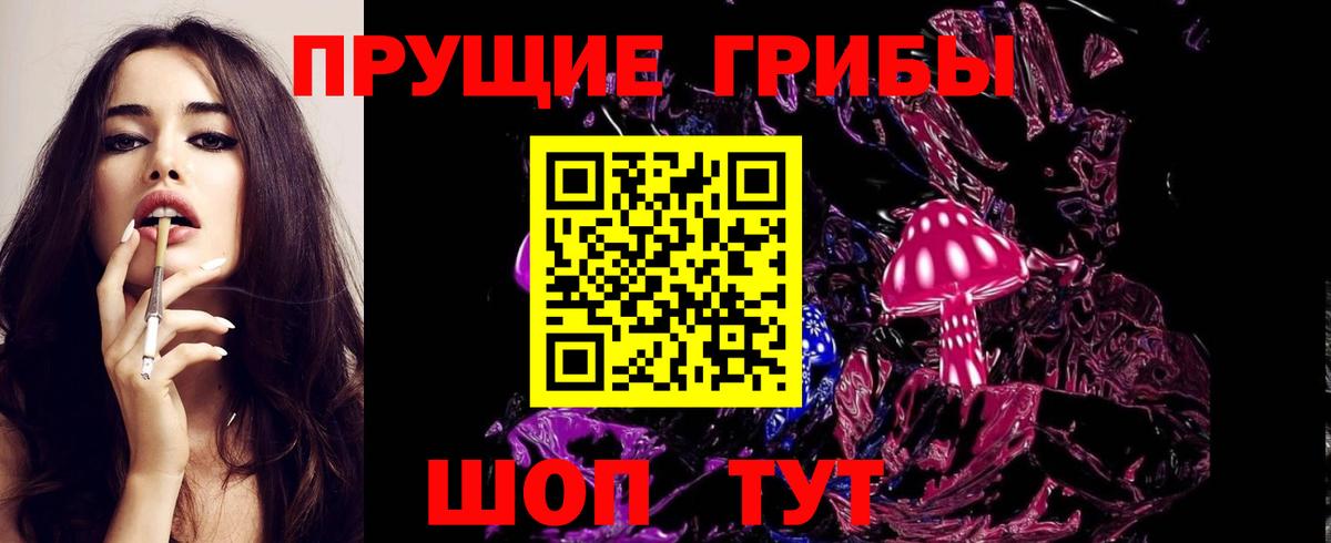 Донской  Галлюциногенные грибы Psilocybine cubensis  как найти   Вход с VPN 