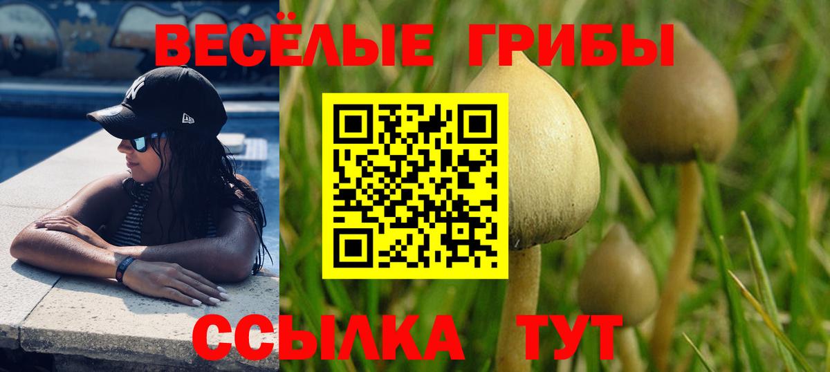 Галлюциногенные грибы GOLDEN TEACHER Донской